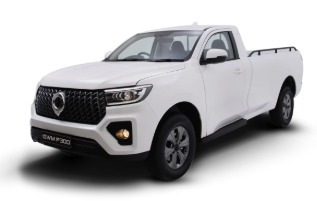 P300 SX S-CAB 2.0 4X2 MT